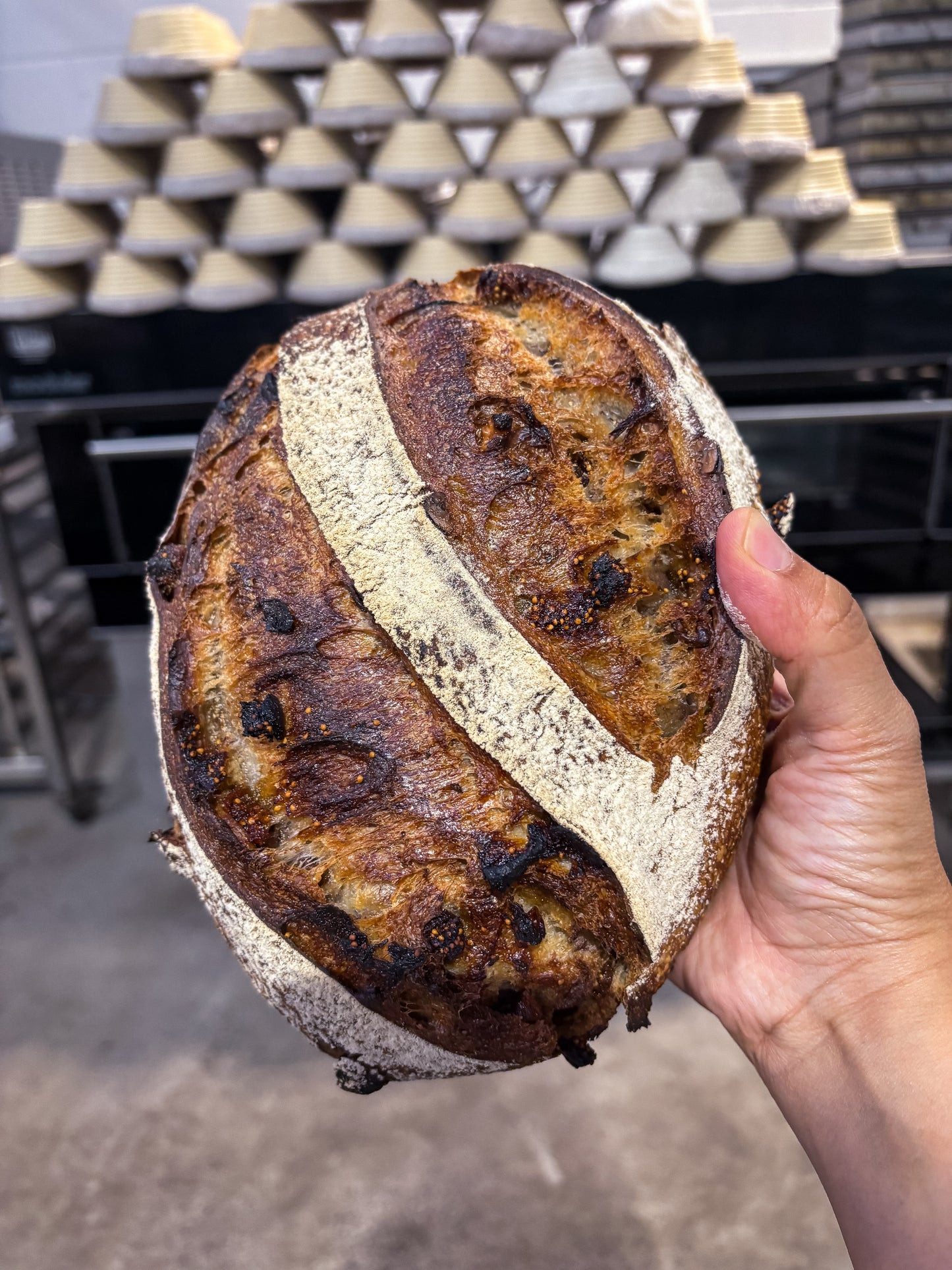 Sourdough bread Cranberry & Walnut (Pre-Order Only)