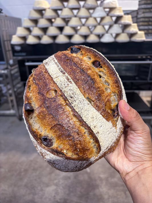 Sourdough bread - Olive & Capers ( Pre- Order Only)
